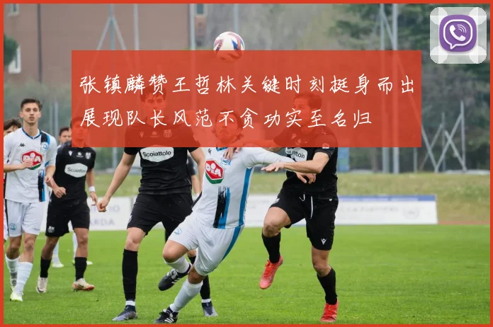 张镇麟赞王哲林关键时刻挺身而出展现队长风范不贪功实至名归