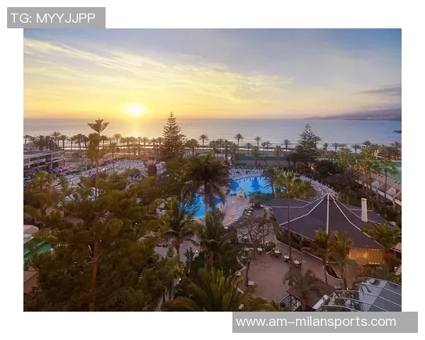 阿媒透露帕尔梅拉斯与阿尔马达谈判进展希望以2000万欧元收购其50所有权